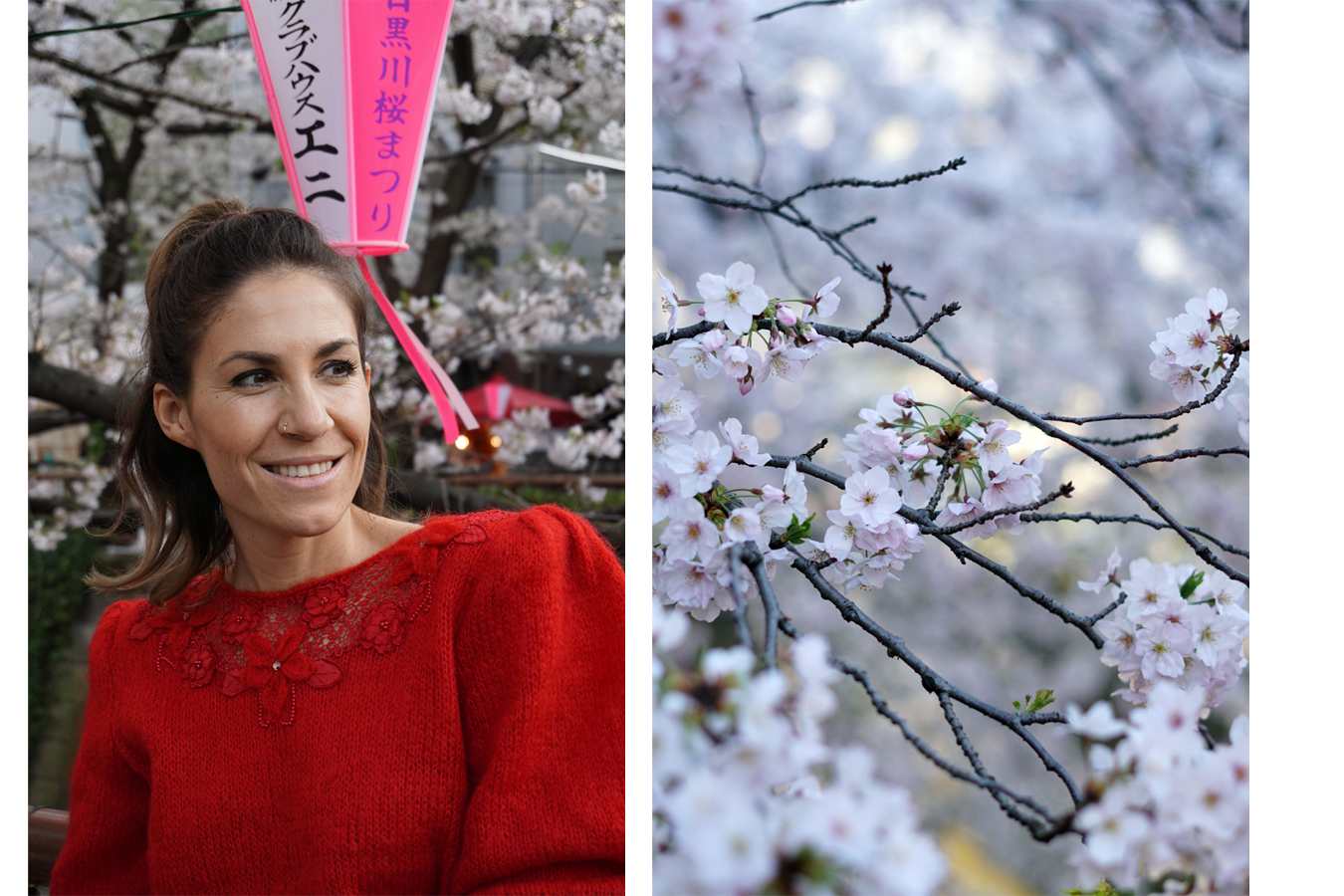 a trip around the world – Tokyo